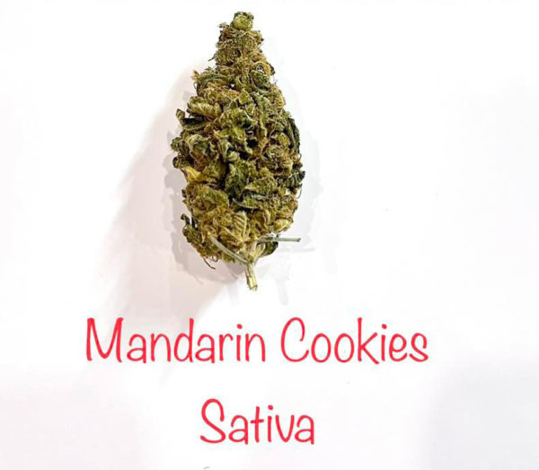 Mandarin Cookies Sativa World Wide Weed Thailand