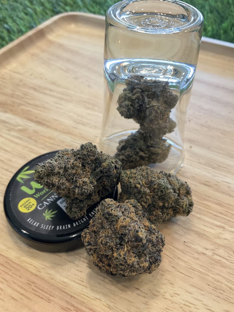 Jet Fuel Gelato World Wide Weed Pattaya Thailand