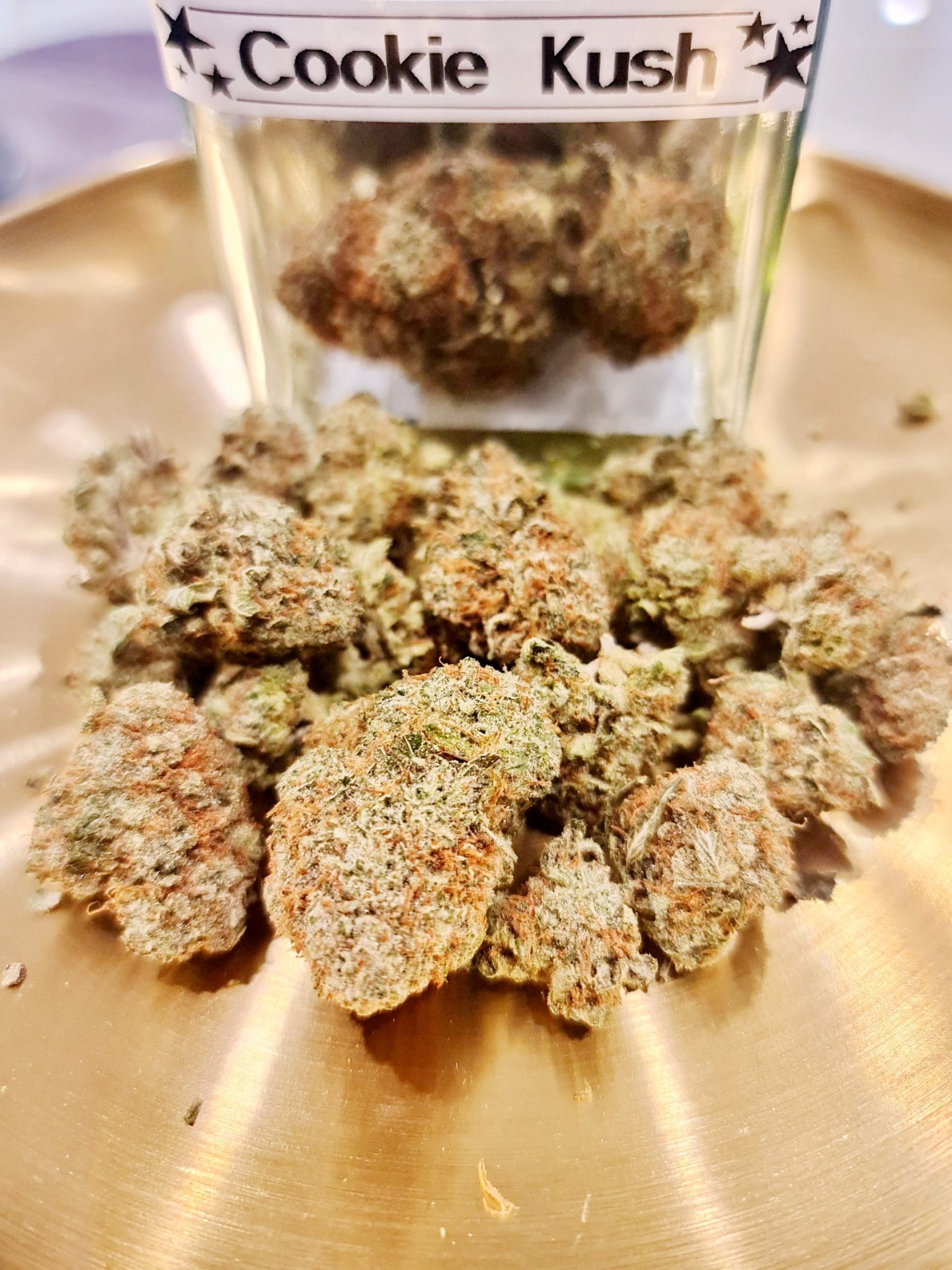 Cookie Kush World Wide Weed Thailand