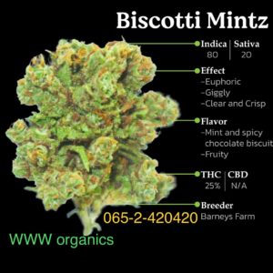Biscotti Mintz (organics)